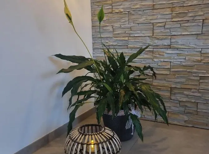 Wellness Ferienhaus